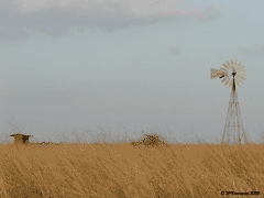 Preserve in Texas